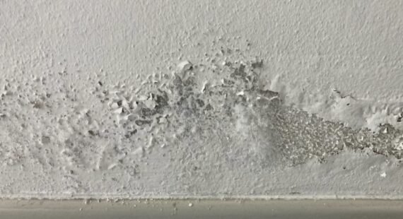 humidité mur